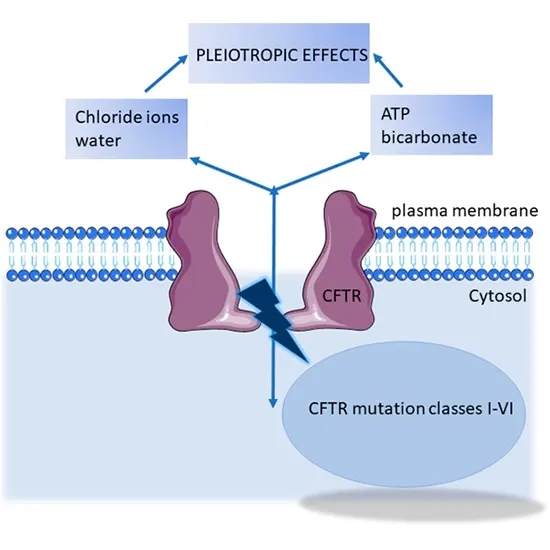 CFTR Gene Mutation